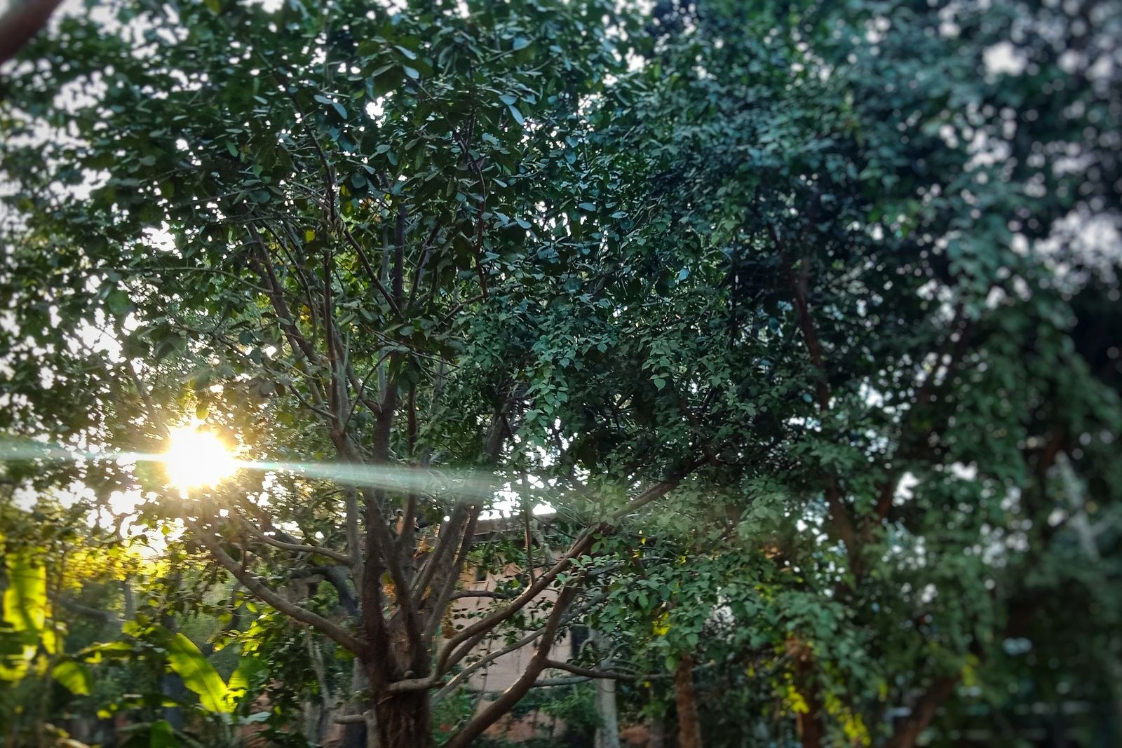 Camera and lens on a location shoot